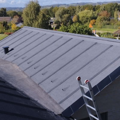 Tagdaekker-tagdaekning